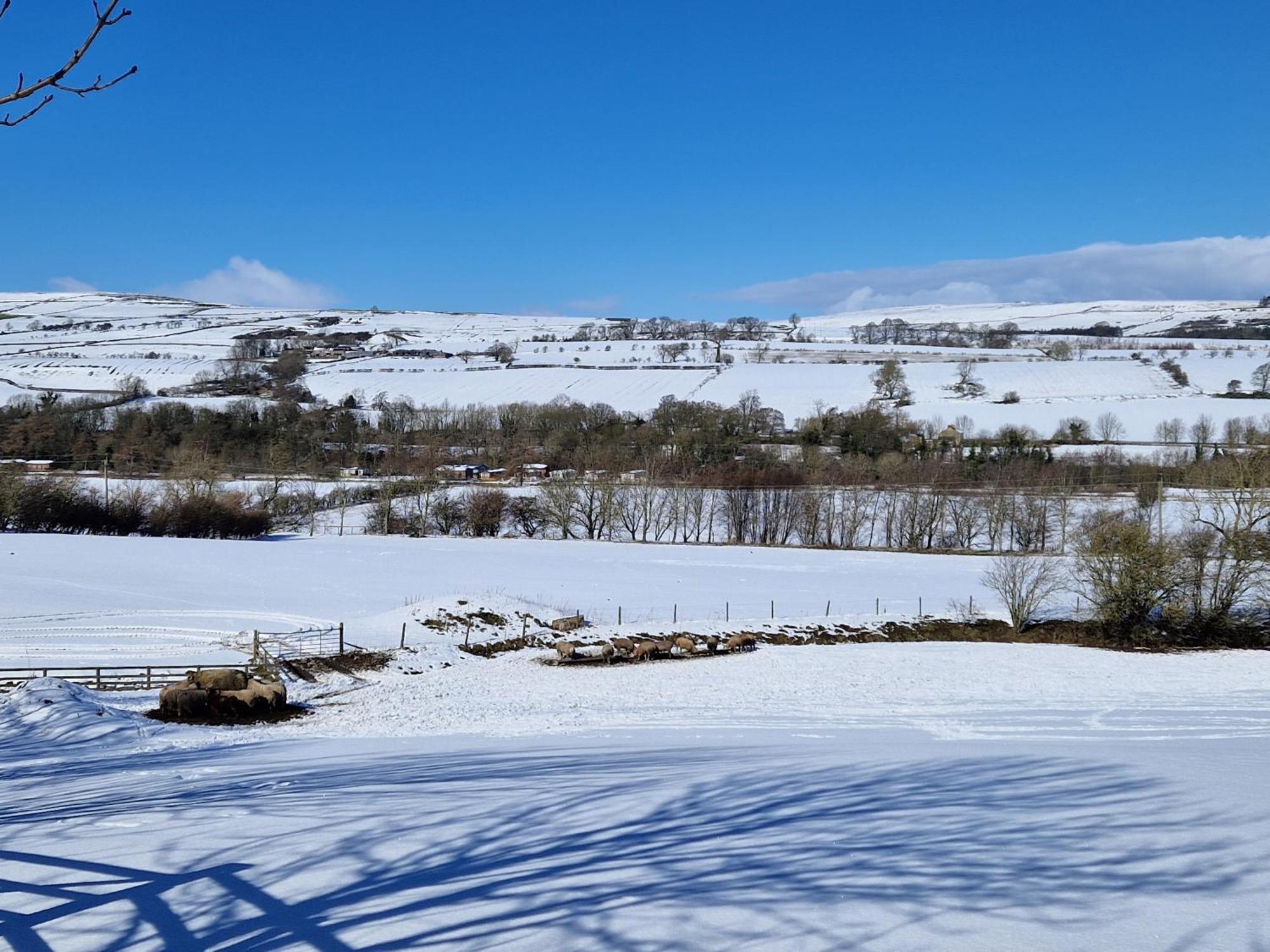 Vila The Den, Coves House Wolsingham Exteriér fotografie